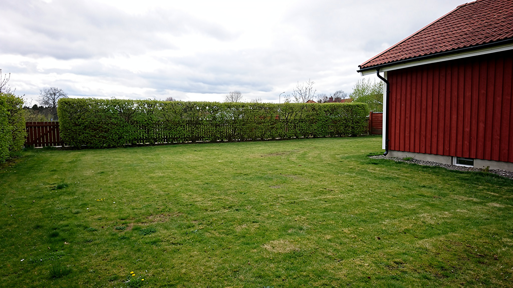 Före — tom gräsmatta